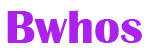 bwhos-meet-logo